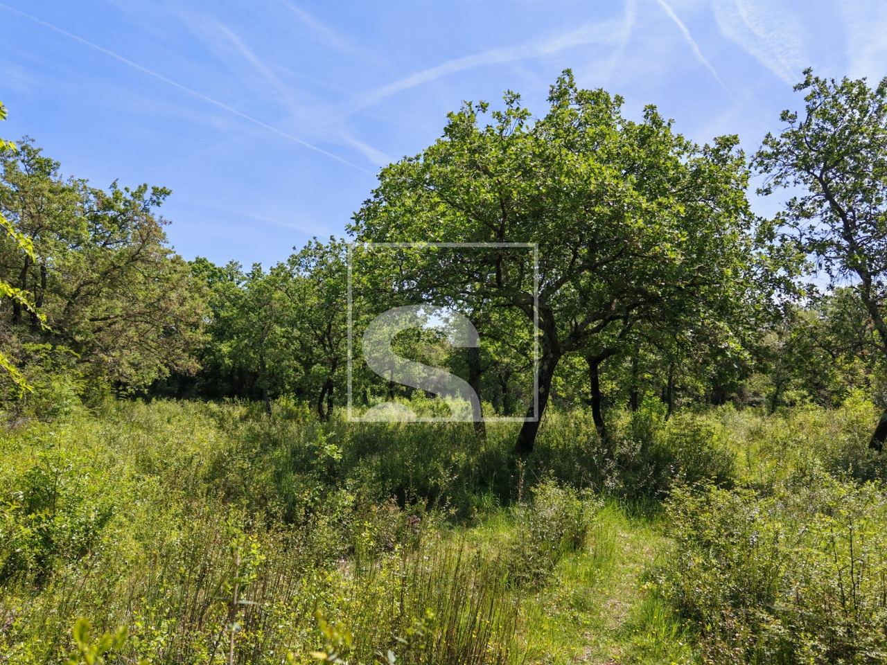 Grundstück u Vodnjanu, 3349m², slika 4