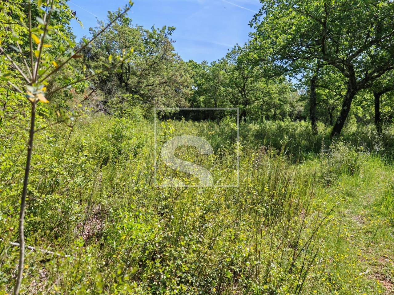 Grundstück u Vodnjanu, 3349m², slika 5