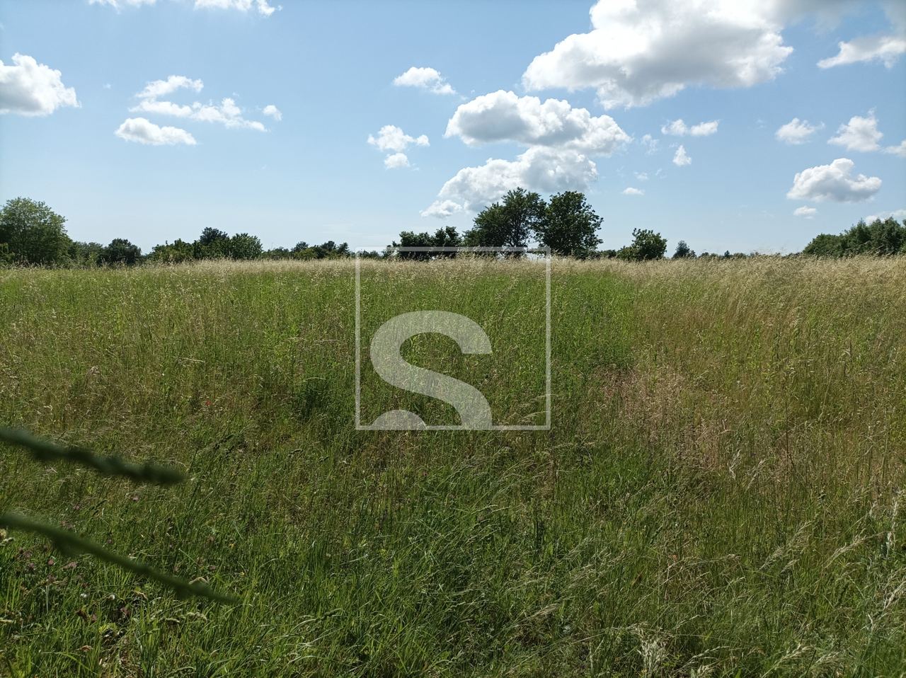 Terreno u Žminju, 9041m²