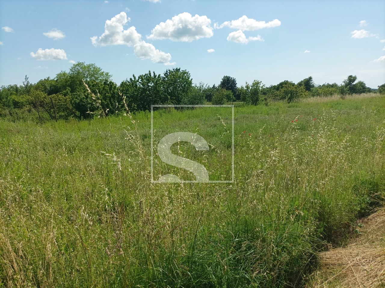 Terreno u Žminju, 9041m², slika 2