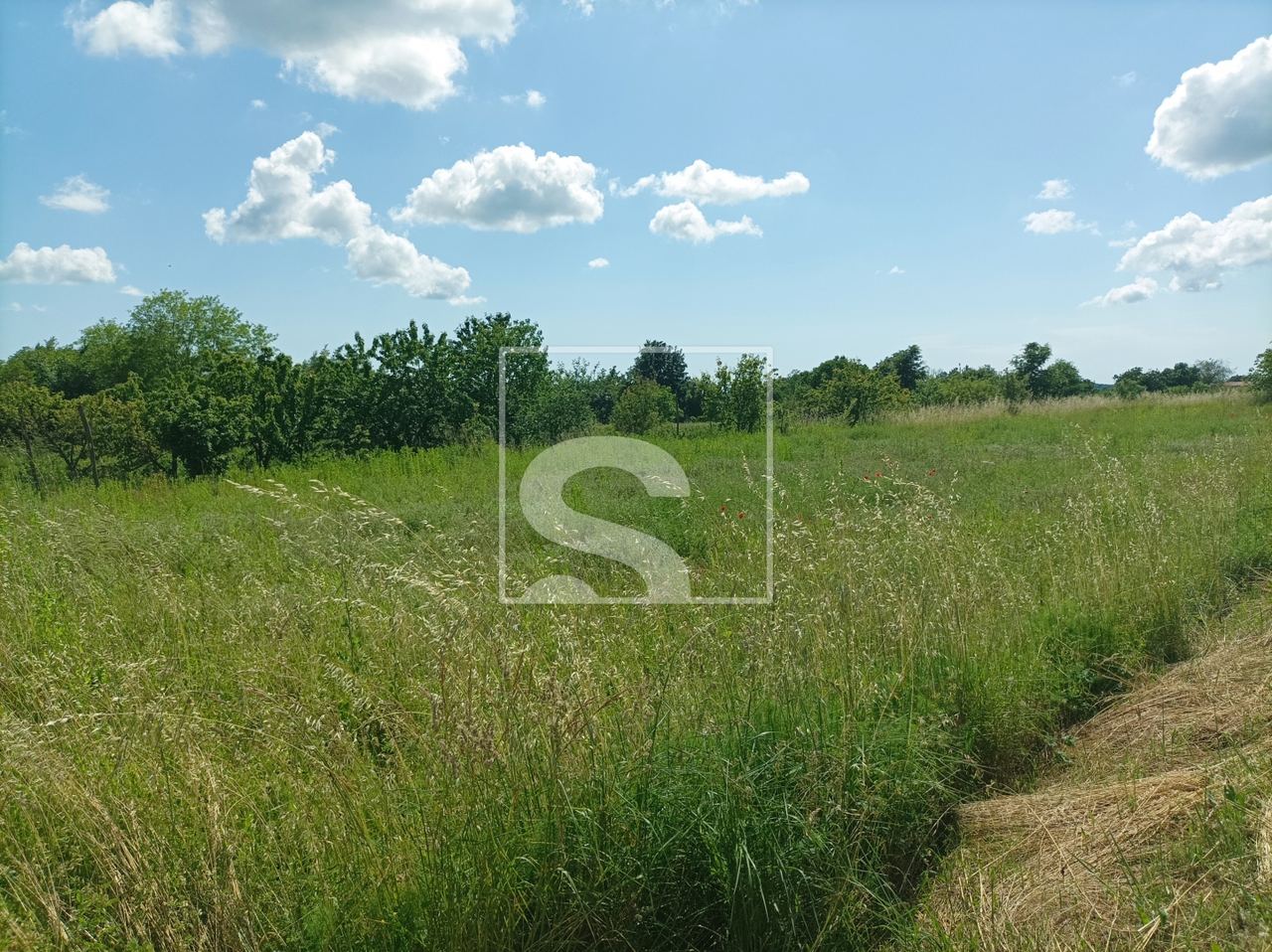 Terreno u Žminju, 9041m², slika 3