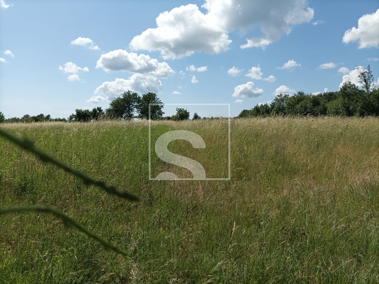 Terreno u Žminju, 9041m², slika 4
