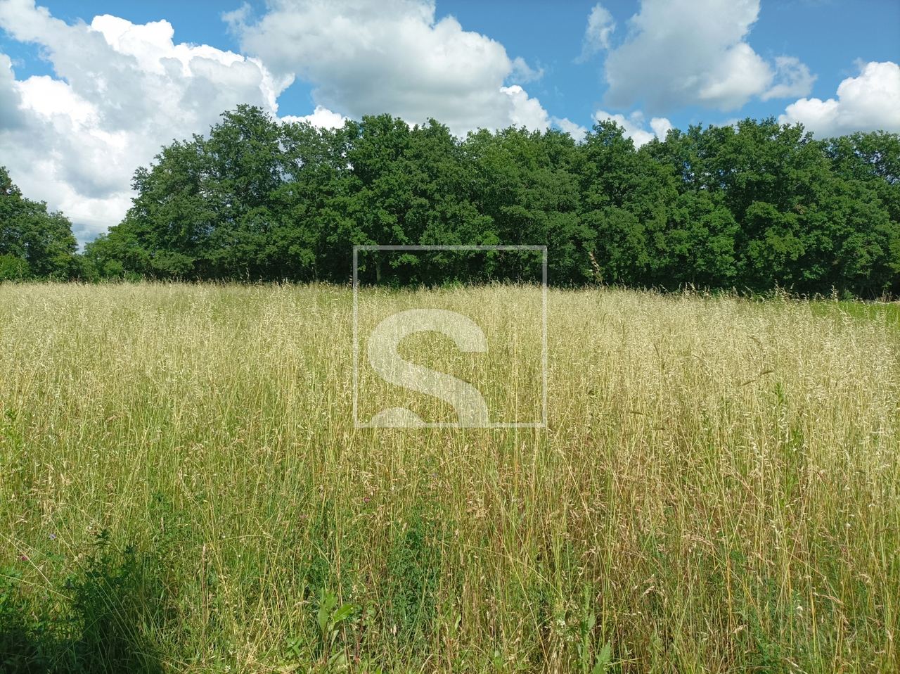 Terreno u Žminju, 9041m², slika 5