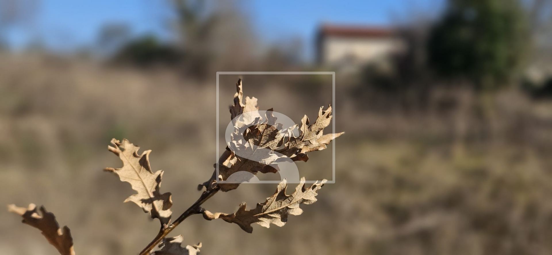 Zemljište u Svetvinčenatu, 907m², slika 3