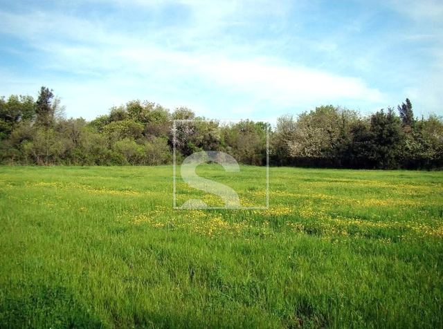 Zemljište u Ližnjanu, 15942m², slika 3