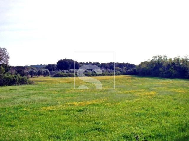 Zemljište u Ližnjanu, 15942m², slika 4
