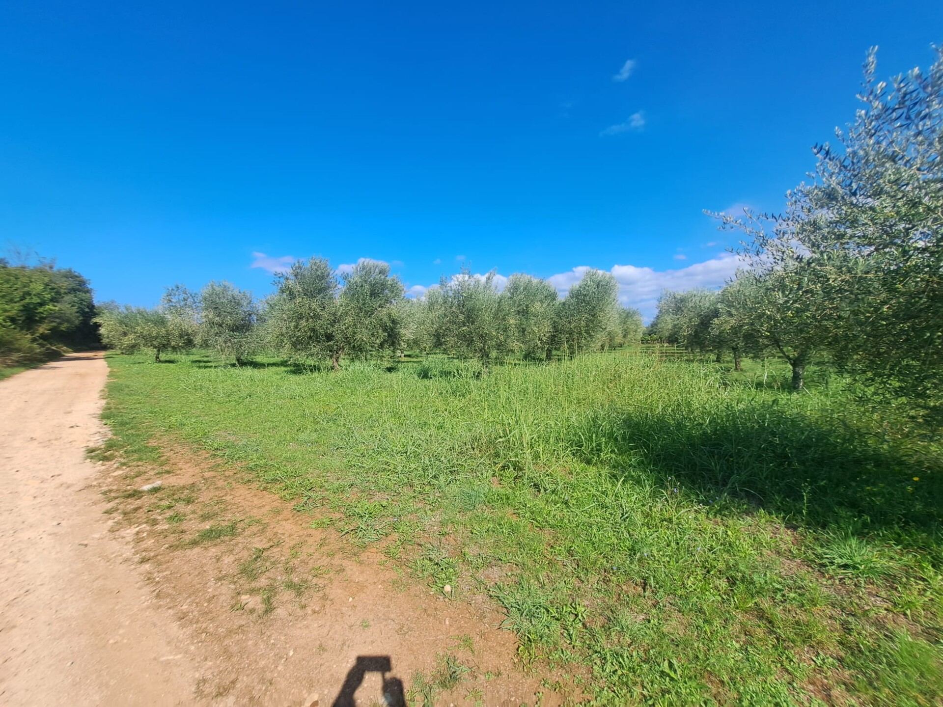 Land u Tar-Vabrizi, 7702m², slika 4