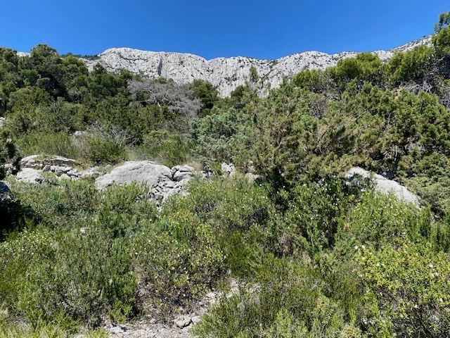 Land u Hvaru, 3265m², slika 2