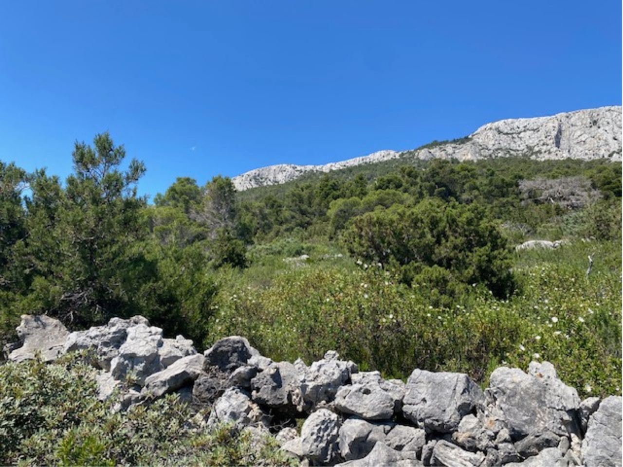 Land u Hvaru, 3265m², slika 3