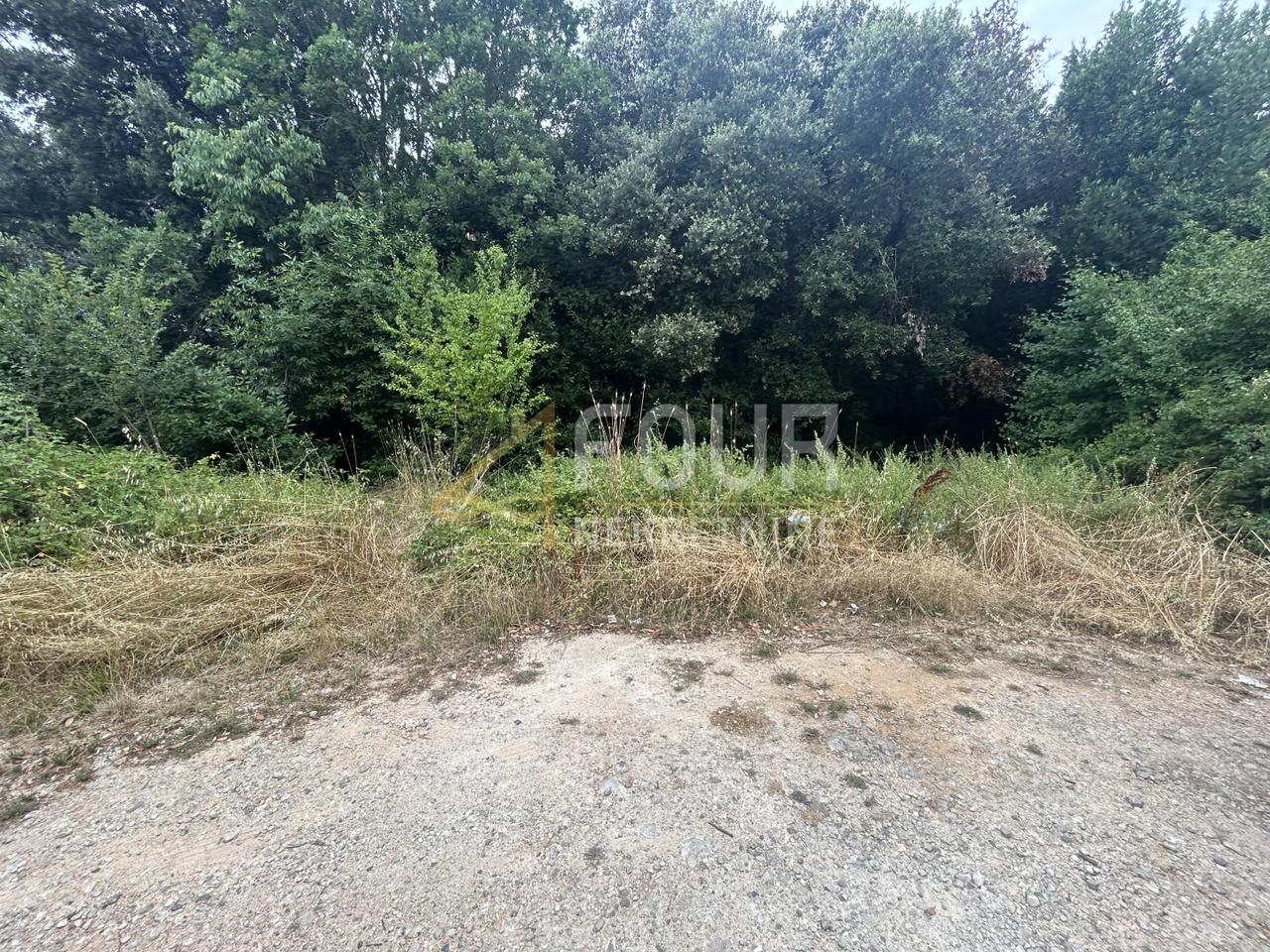 Terreno u Pola (Pula)u, 2746m², slika 3