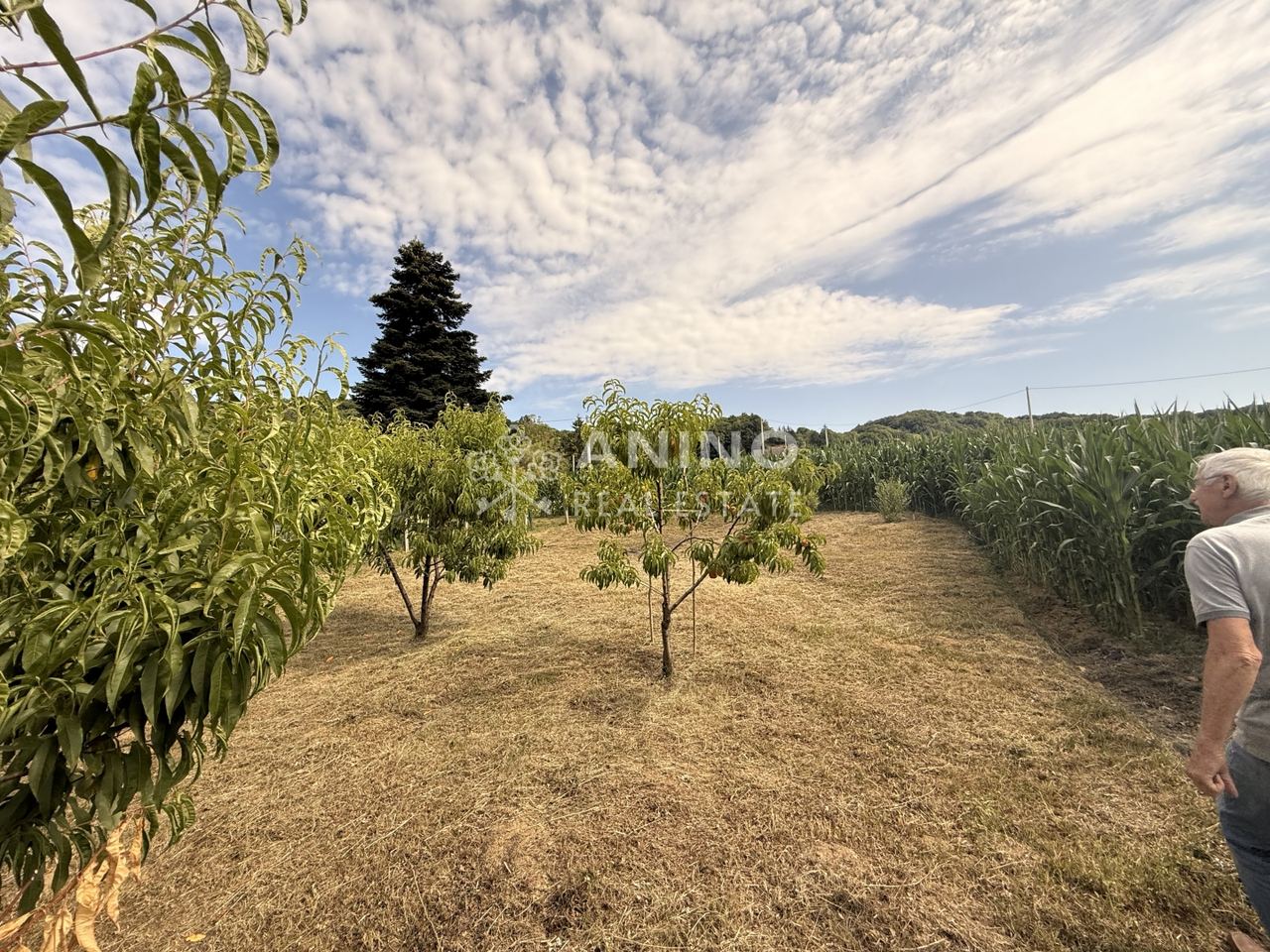 Casa u Mihovljanu, 170m², 5 soba, slika 5