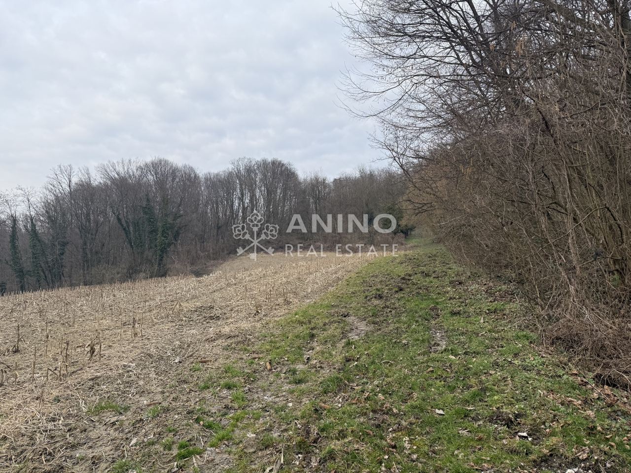 Terreno u Kraljevec na Sutliu, 5262m², slika 2