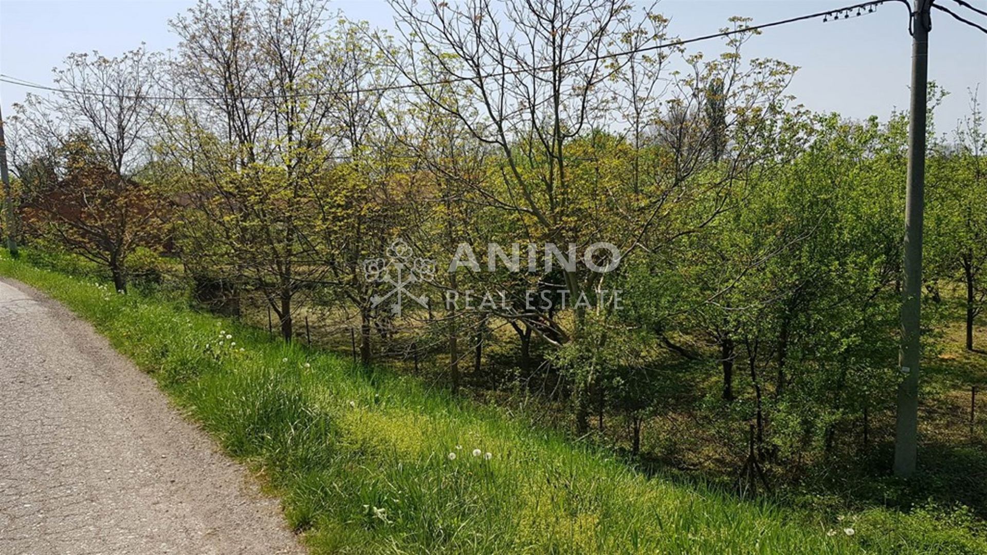 Terreno u Orlama, 1816m², slika 4