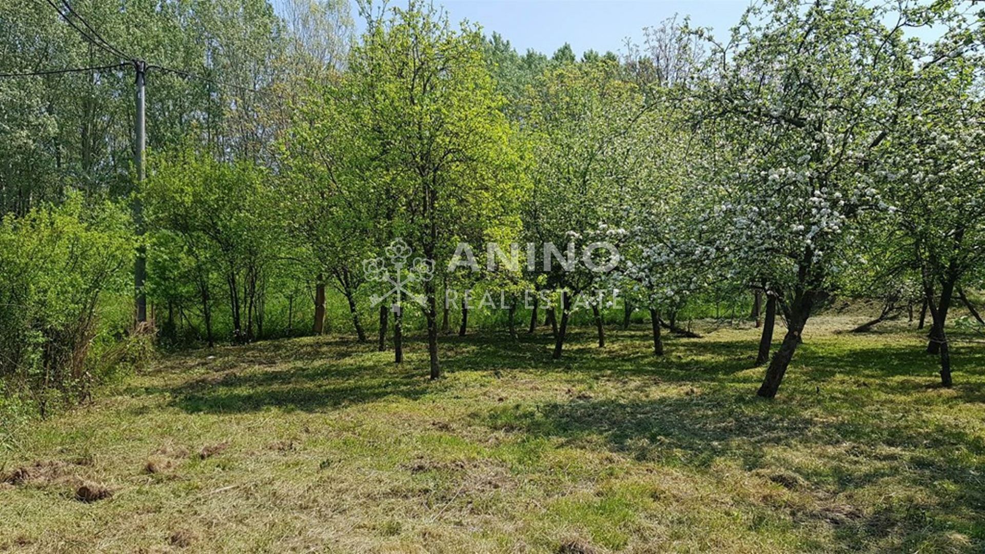 Terreno u Orlama, 1816m², slika 5