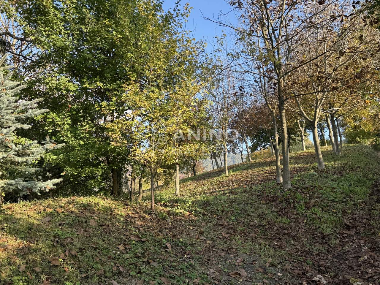 Terreno u Radoboju, 2014m², slika 4