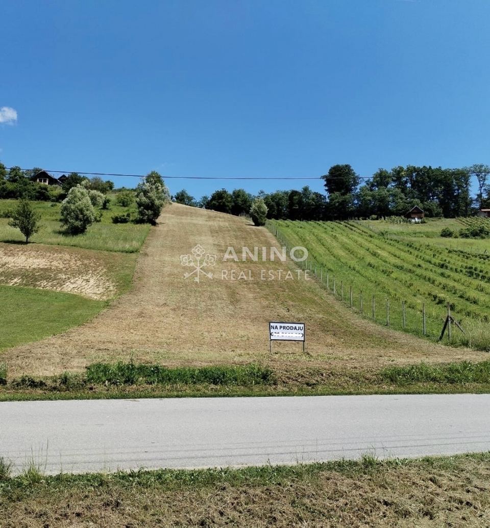 Land u Sveti Križ Začretju, 2460m²