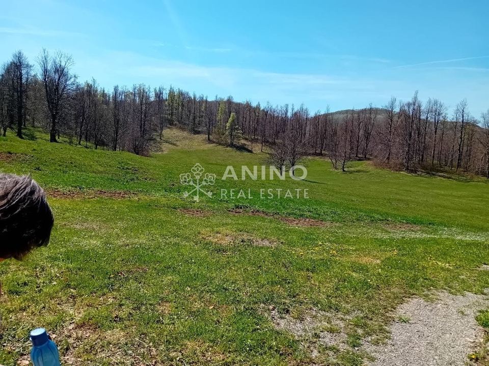 Land u Jelenju, 11570m²