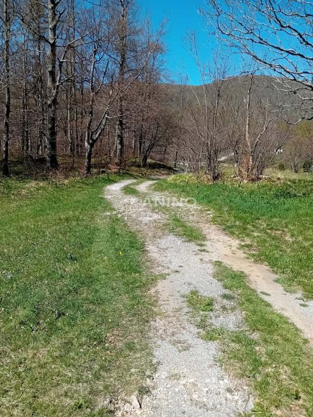 Land u Jelenju, 11570m², slika 2