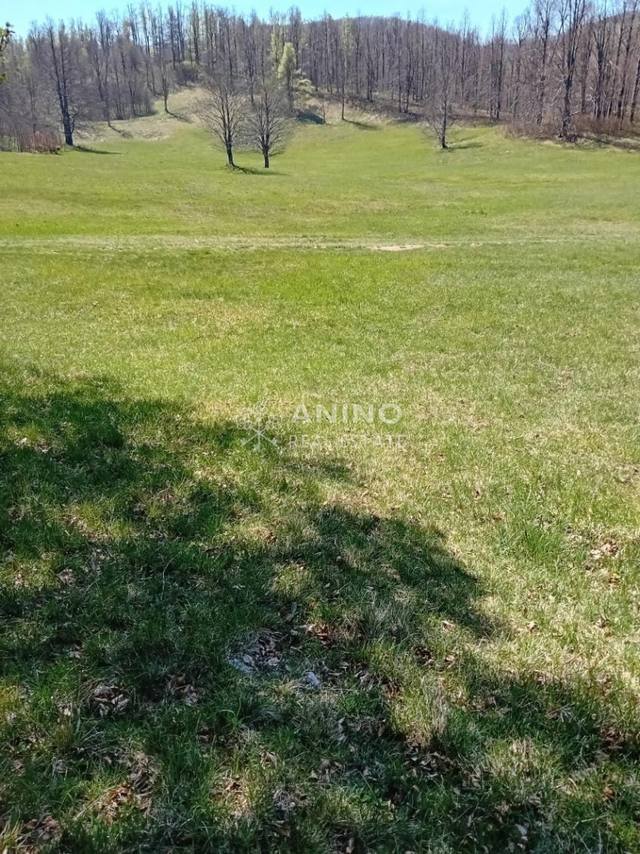 Land u Jelenju, 11570m², slika 4