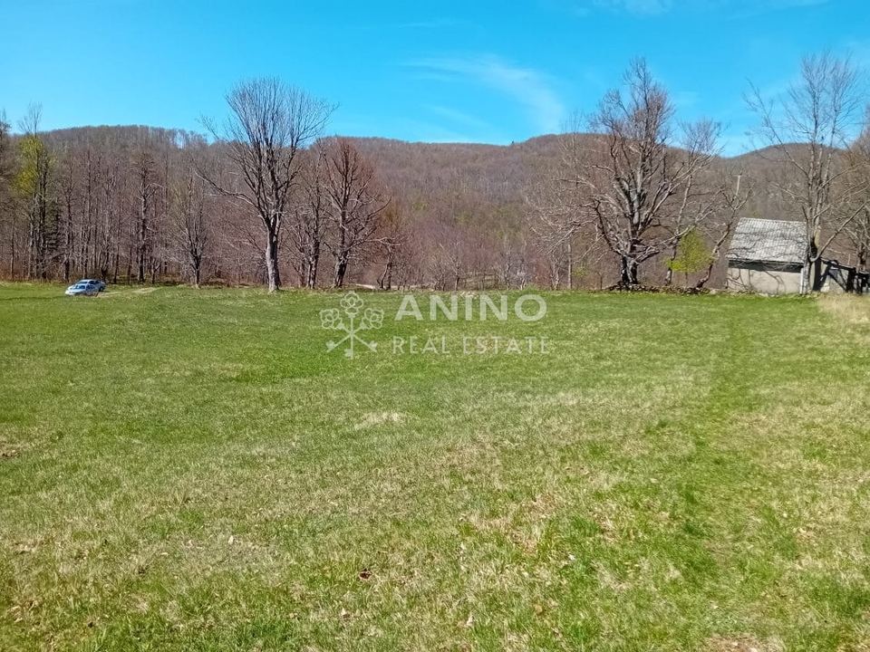 Land u Jelenju, 11570m², slika 5