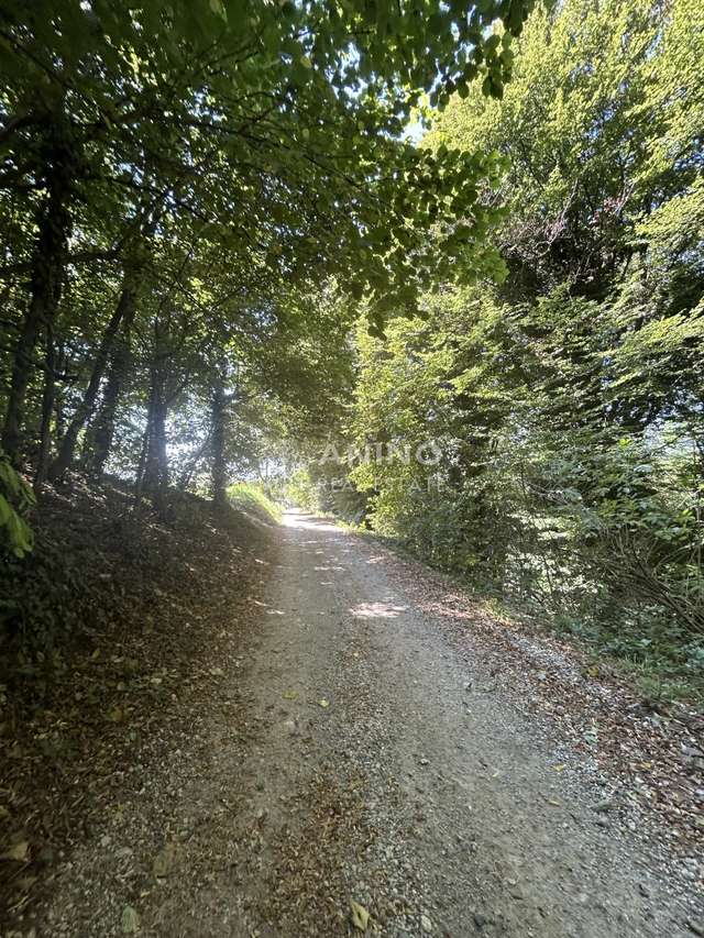Land u Krapinskim Toplicama, 2345m², slika 3