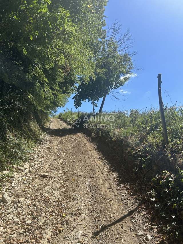 Land u Krapinskim Toplicama, 2345m², slika 4