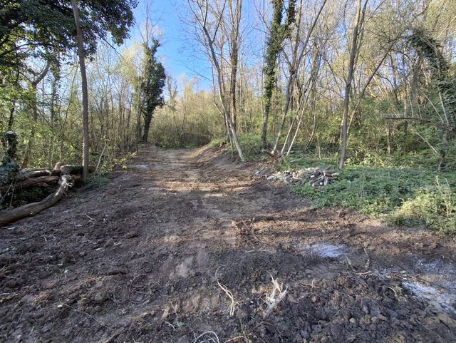 Land u Krapinskim Toplicama, 20000m², slika 2