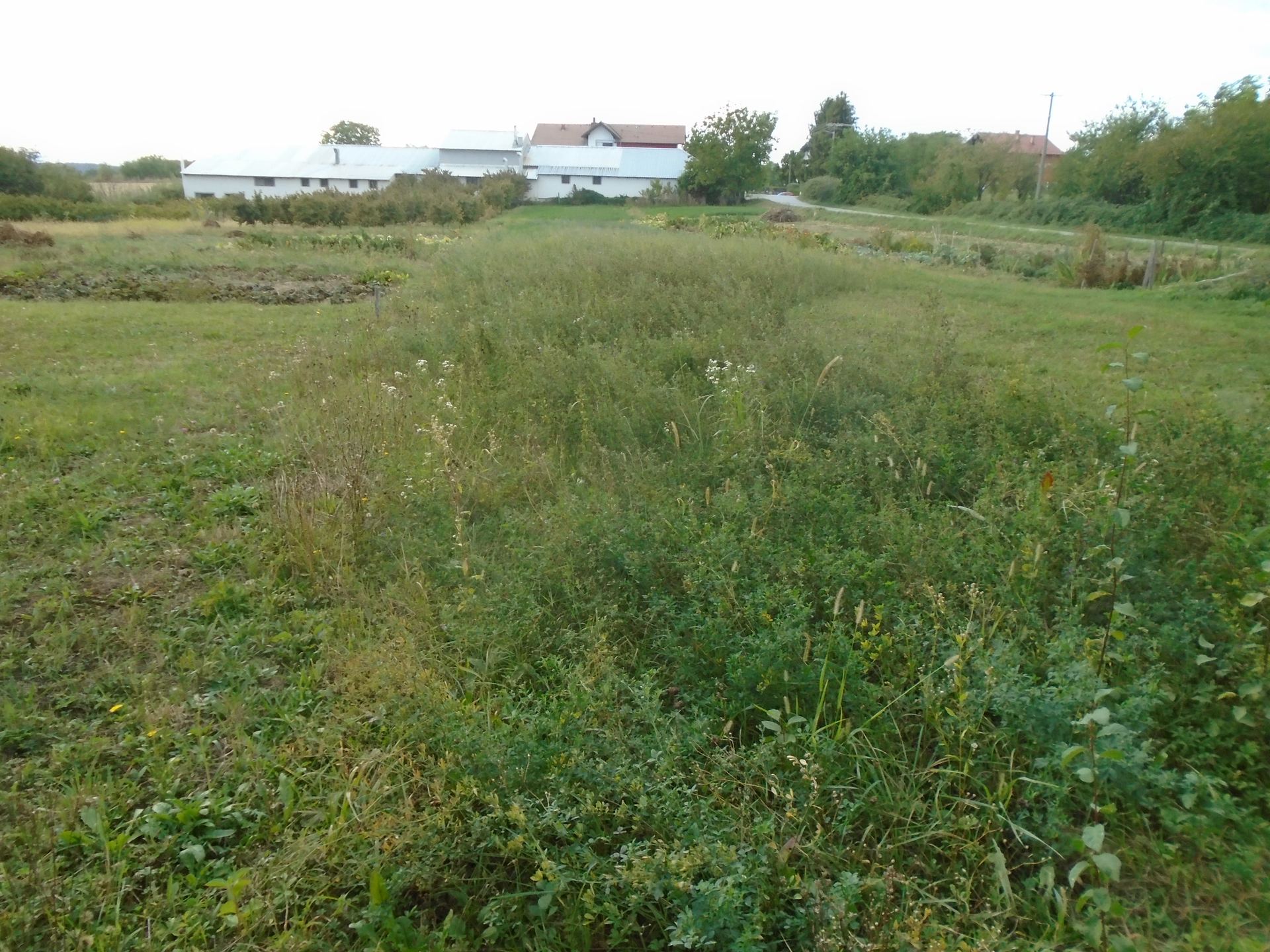 Terreno u Daruvaru, 1219m², slika 2