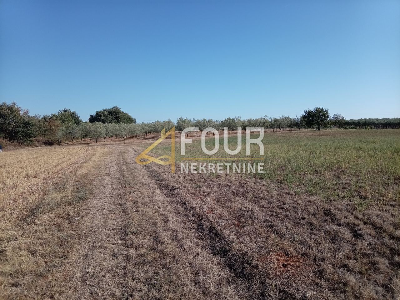 Terreno u Umagu, 4900m², slika 3