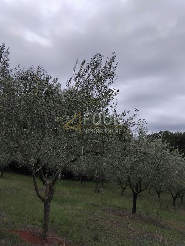 Terreno u Vižinadi, 12734m², slika 3