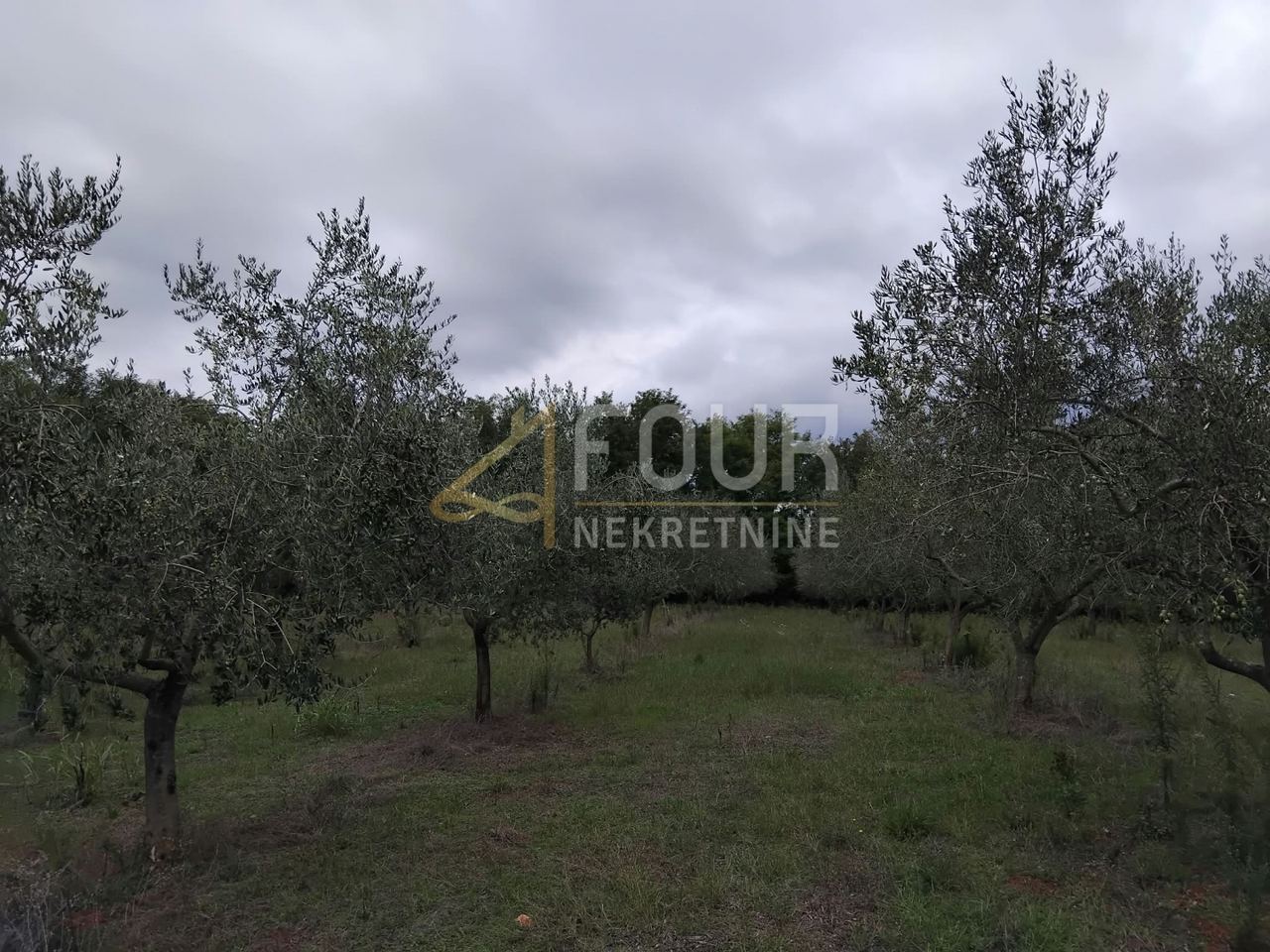 Terreno u Vižinadi, 12734m², slika 4