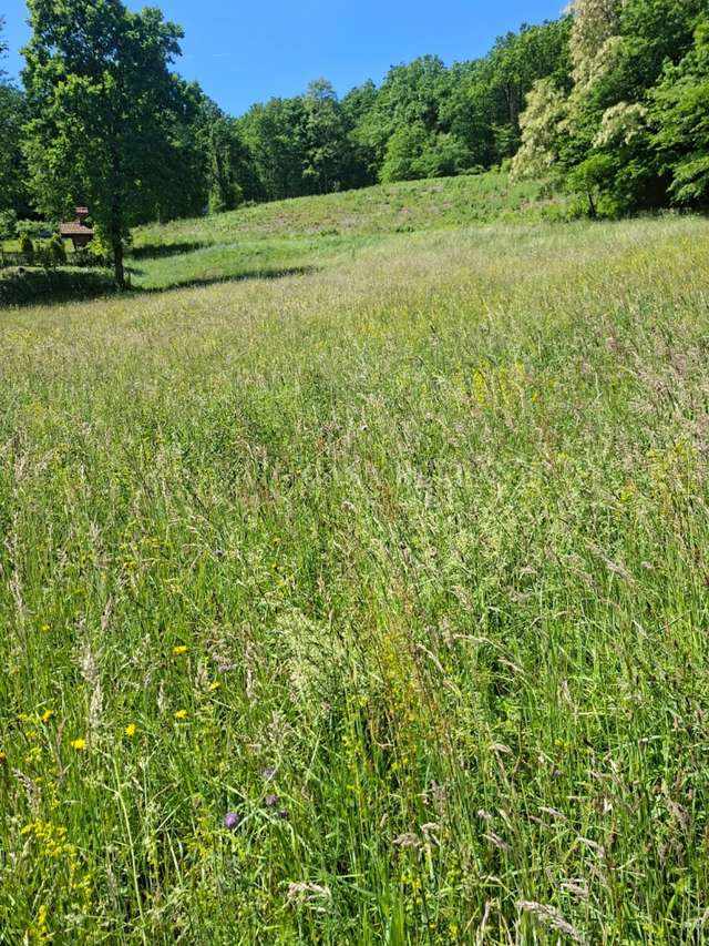 Terreno u Marija Bistrici, 5582m²