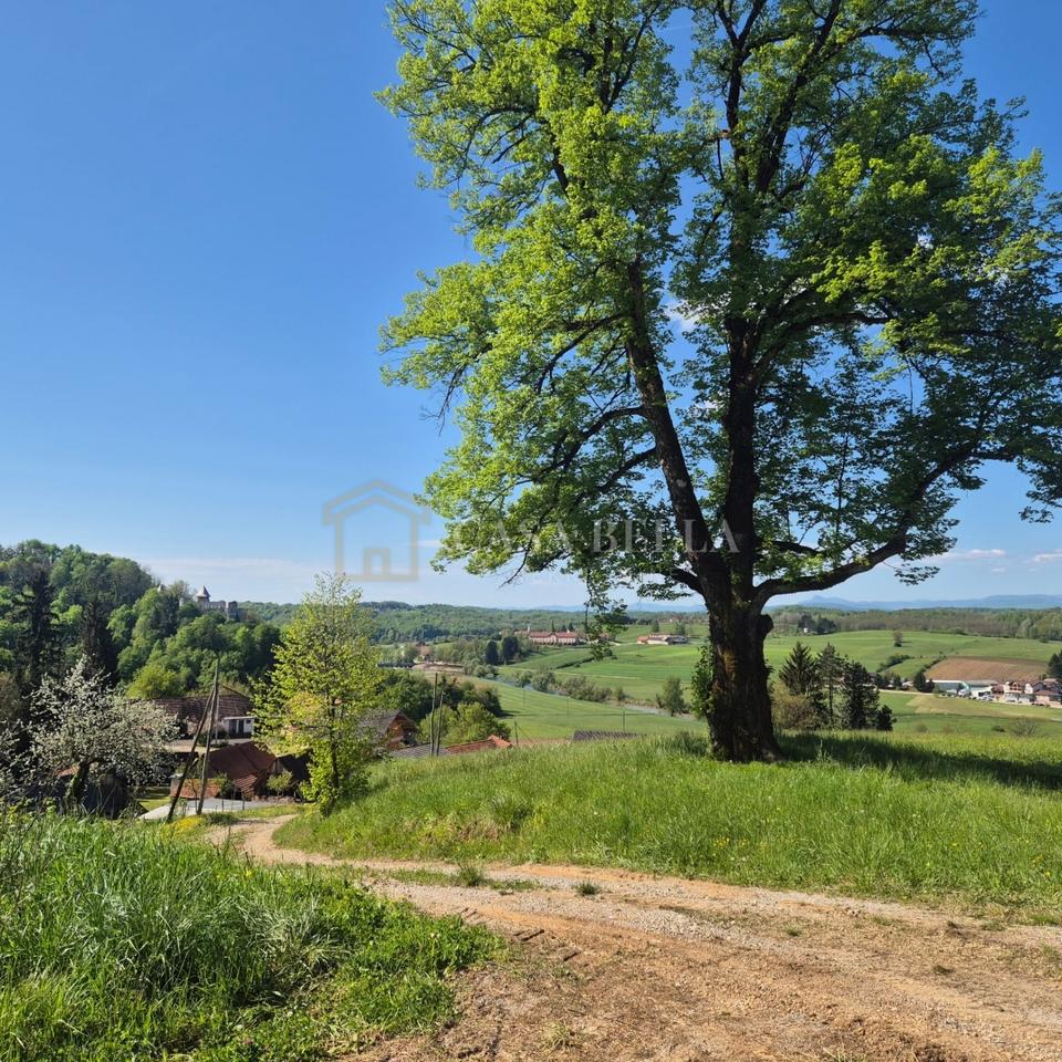 Terreno u Netretiću, 2000m², slika 3