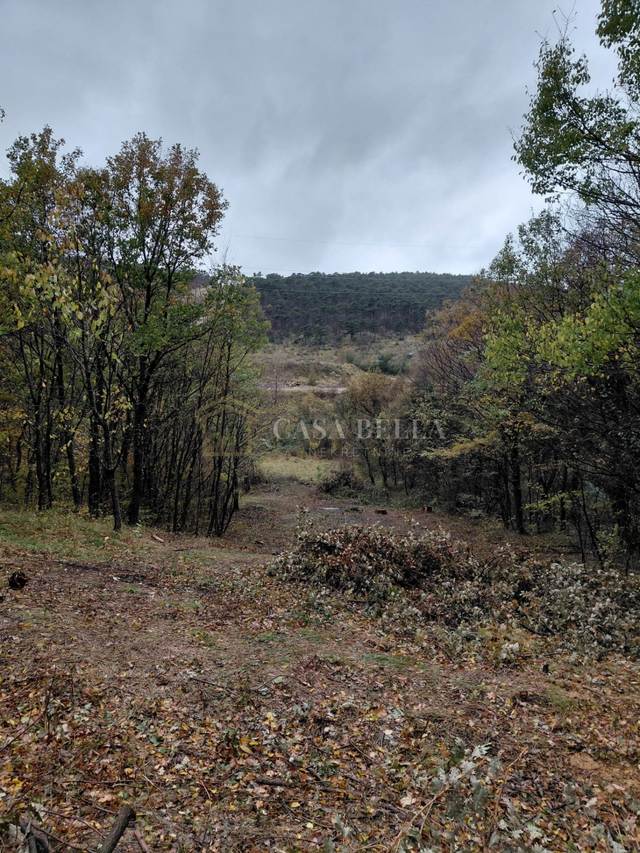 Zemljište u Kraljevici, 1924m², slika 2