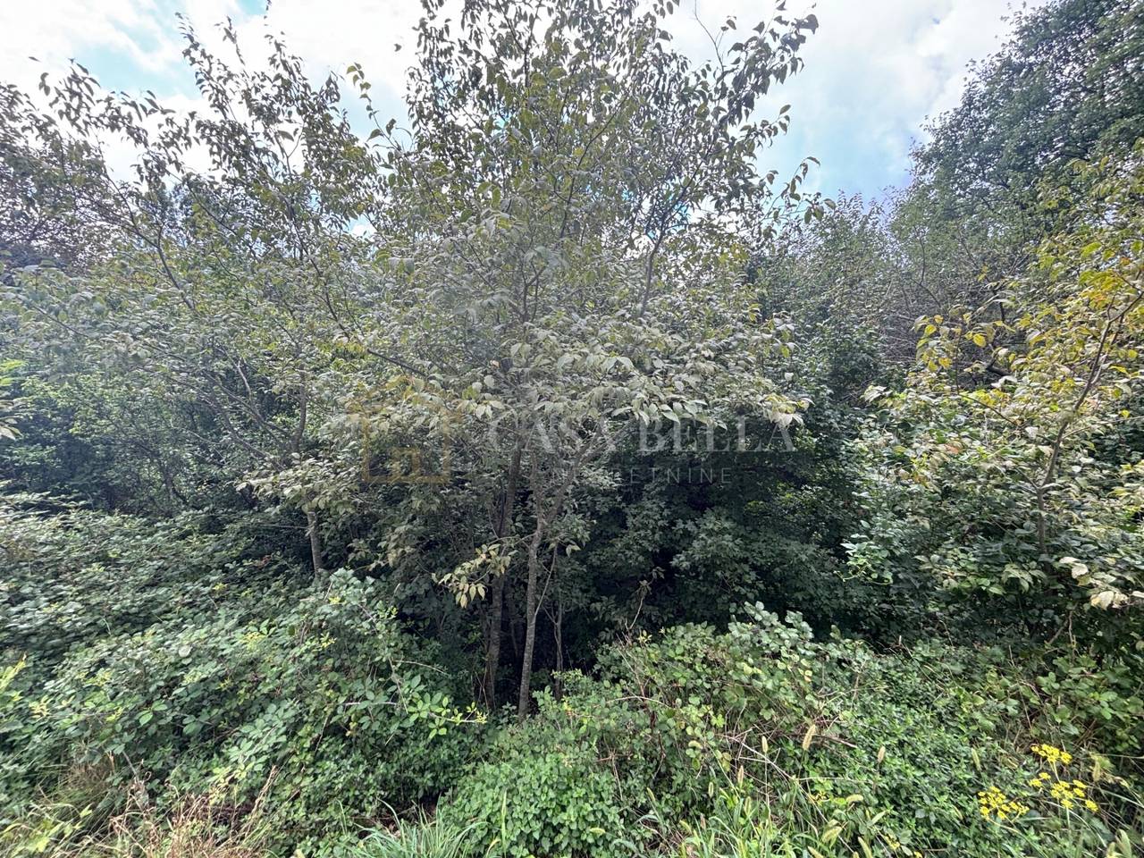 Terreno u Vinodolskoj općini, 302m², slika 2