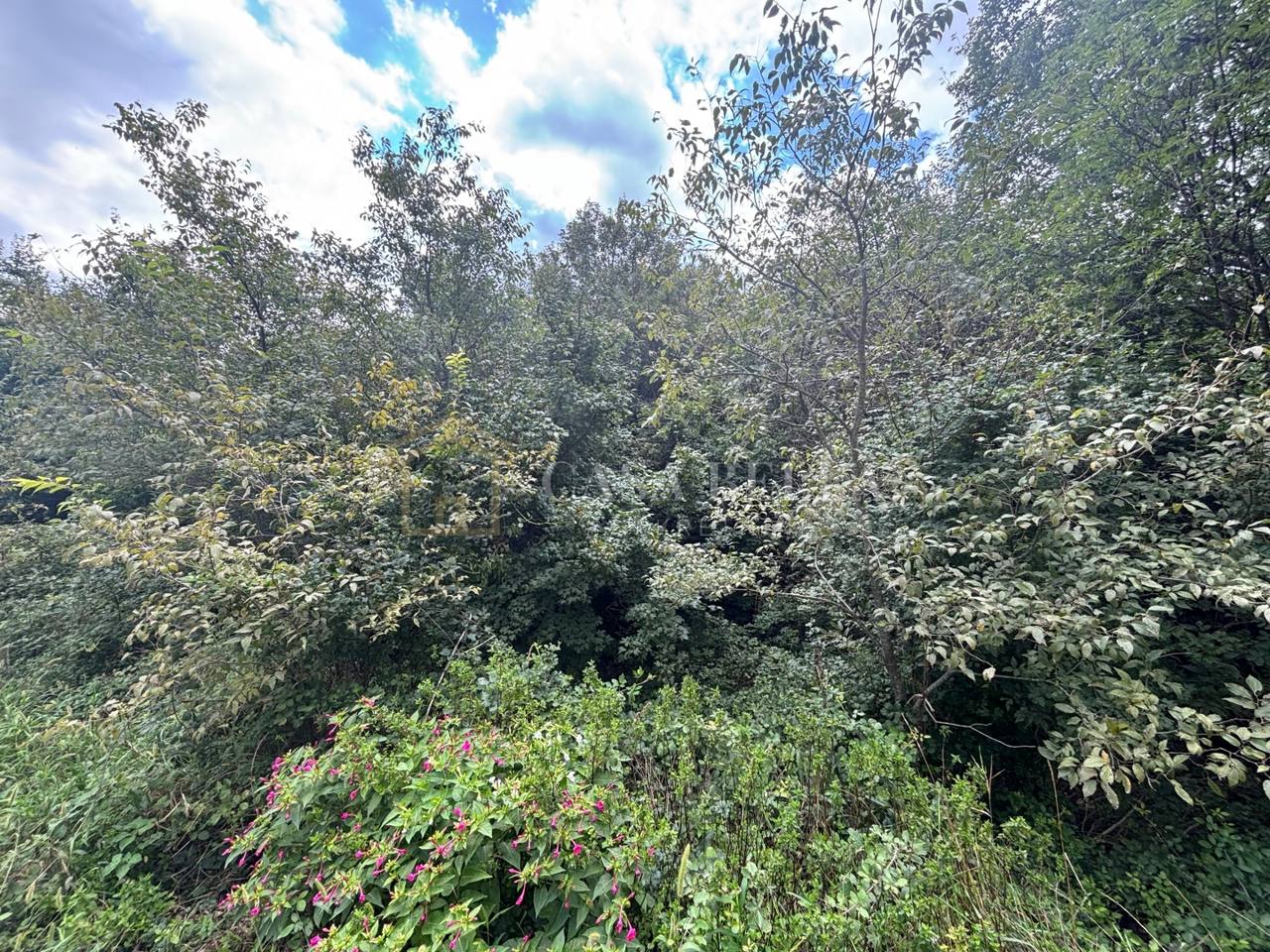 Terreno u Vinodolskoj općini, 302m², slika 3