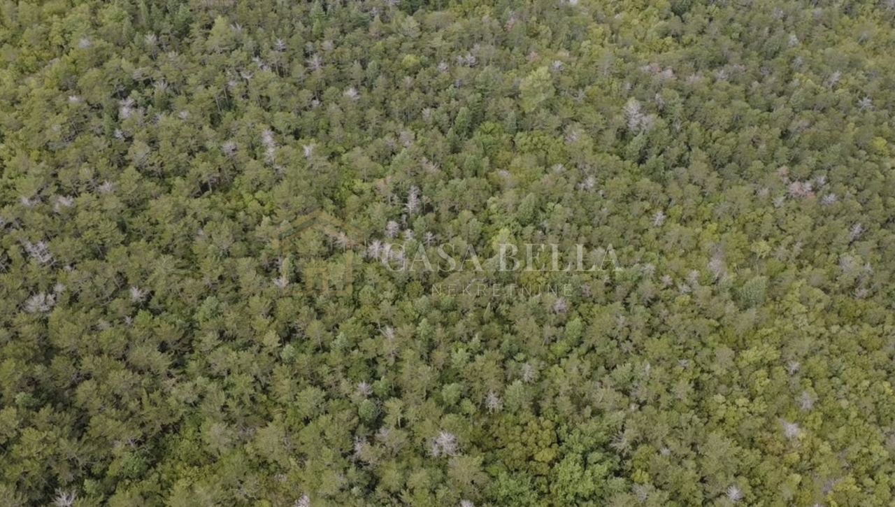 Terreno u Crikvenici, 3577m², slika 3