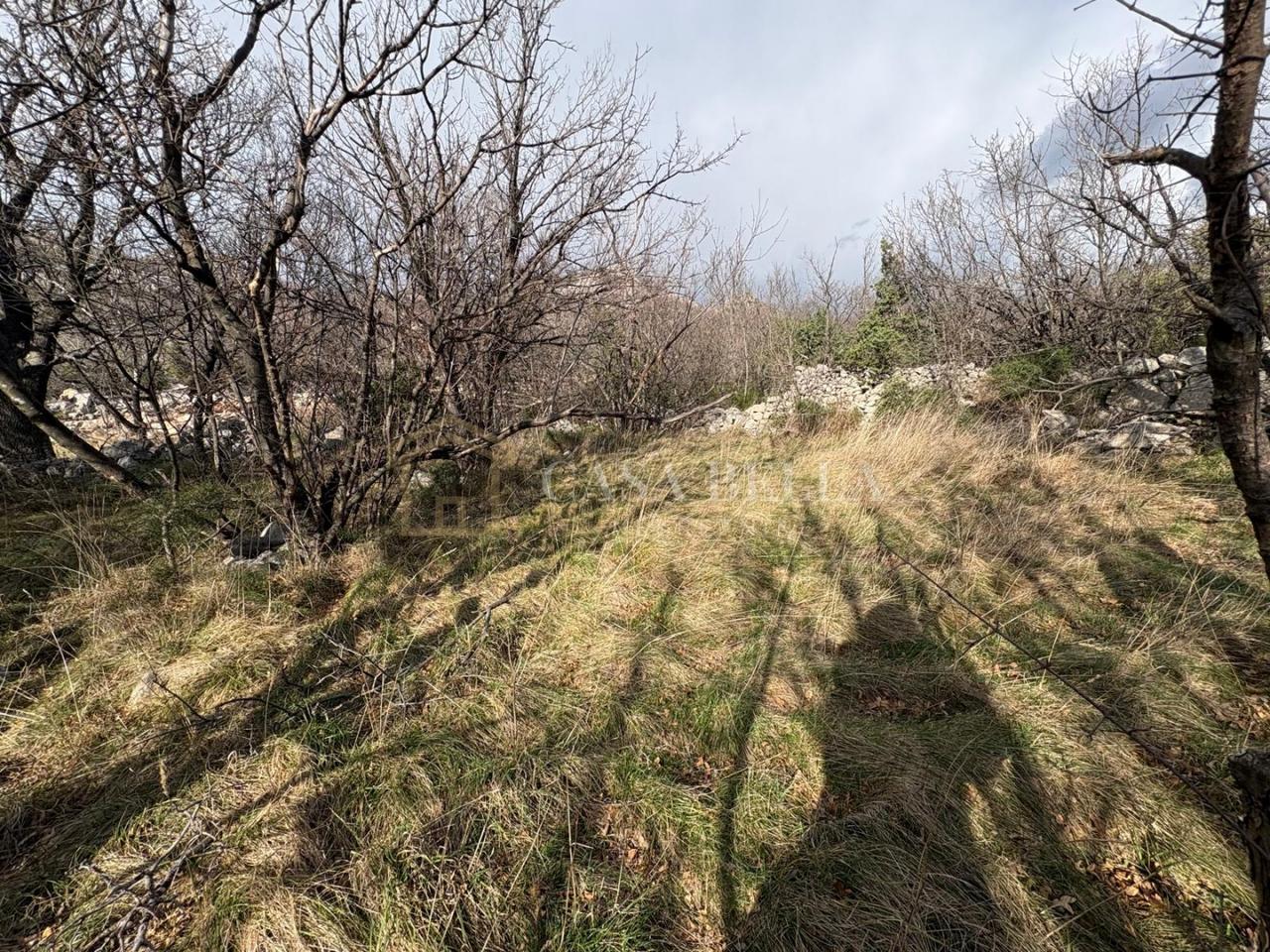 Kuća u Senju, 1069m², 1 soba, slika 2