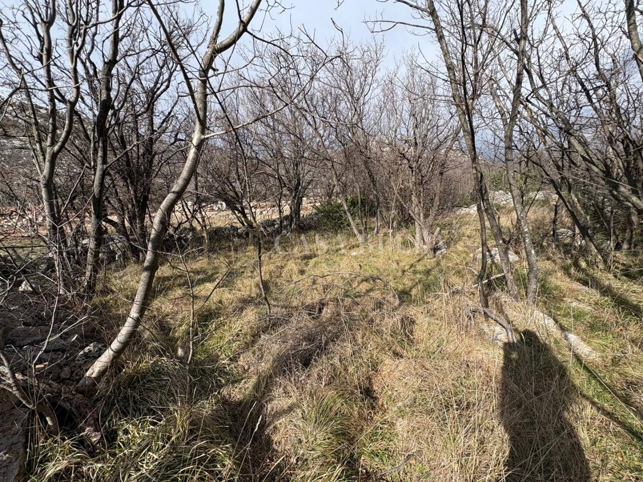 Kuća u Senju, 1069m², 1 soba, slika 4