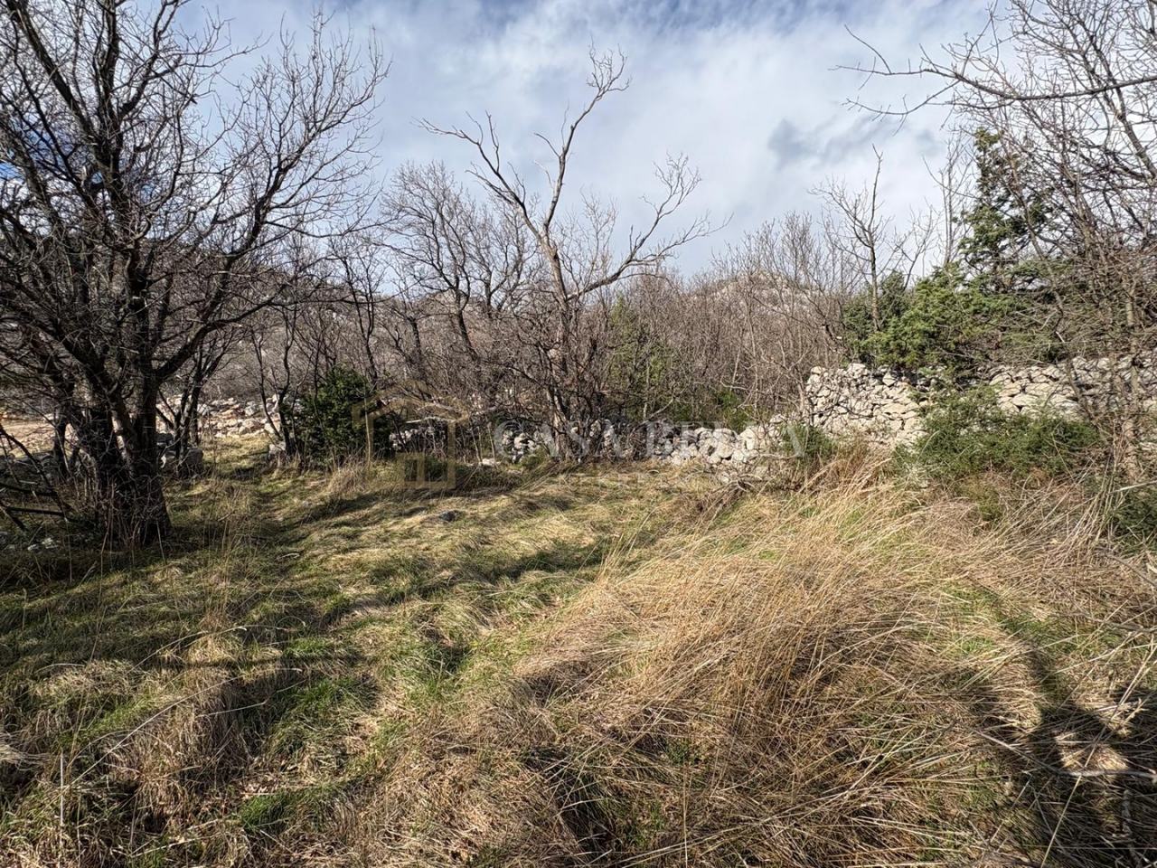 Kuća u Senju, 1069m², 1 soba, slika 5