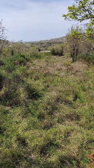 Grundstück u Punatu, 424m², slika 3
