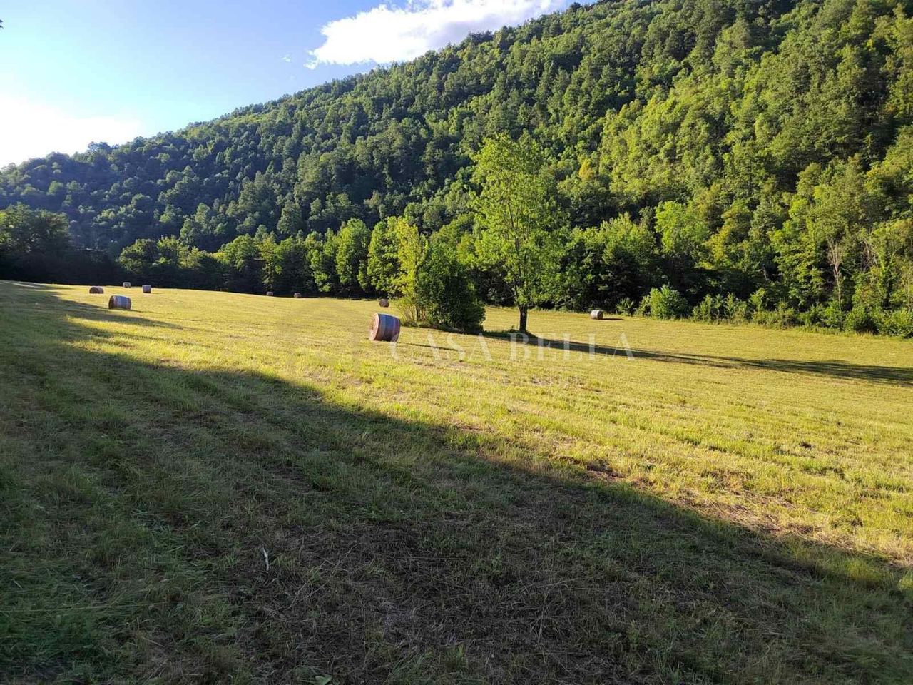 Land u Vrbovsku, 73000m², slika 2