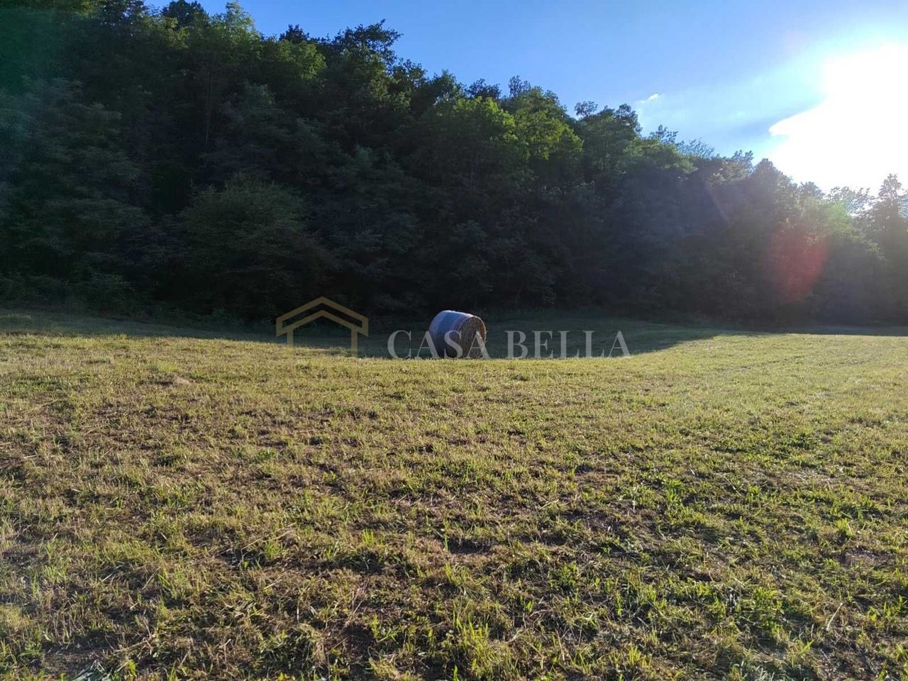 Land u Vrbovsku, 73000m², slika 3
