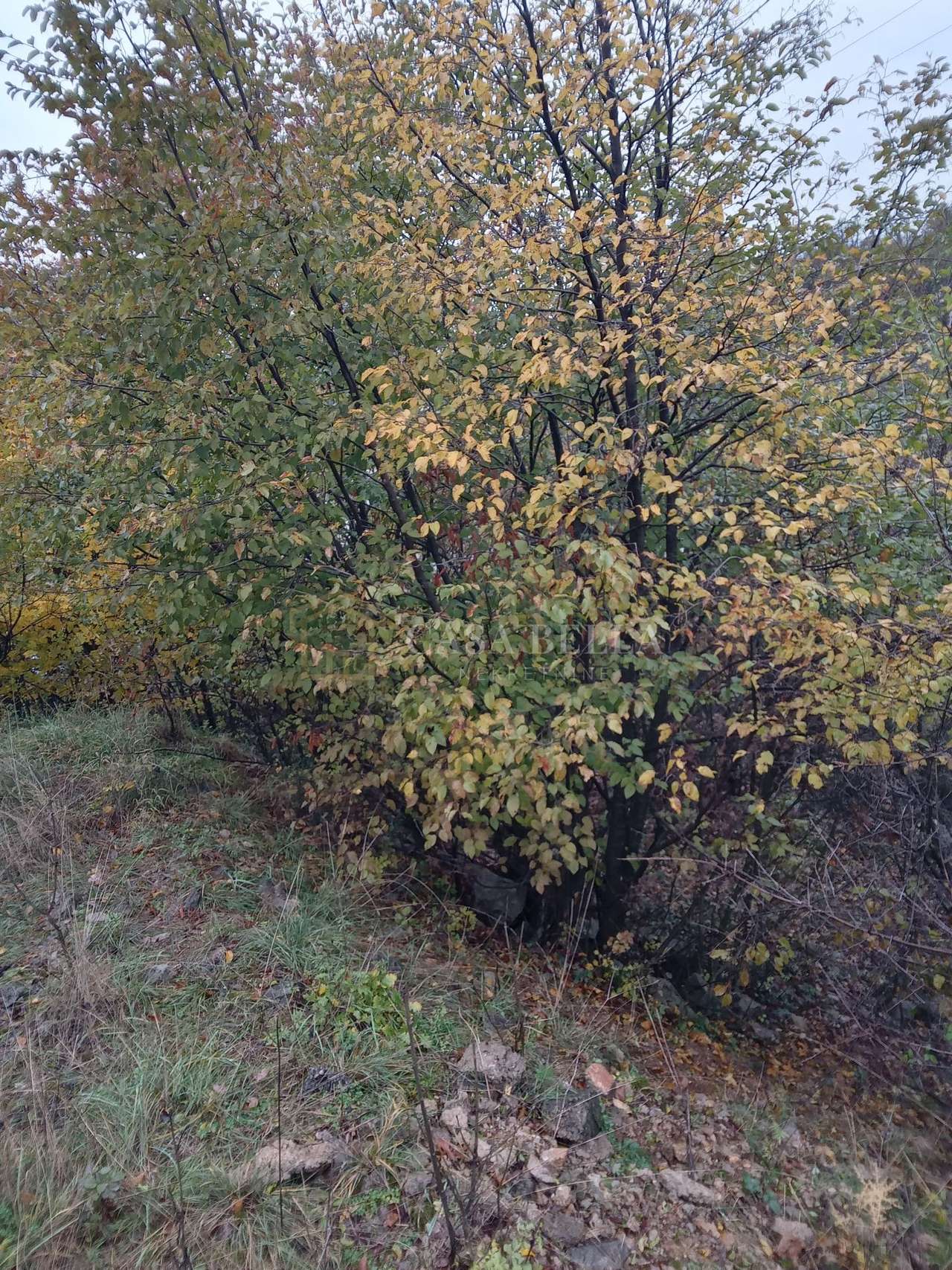 Grundstück u Rijeci, 1070m²