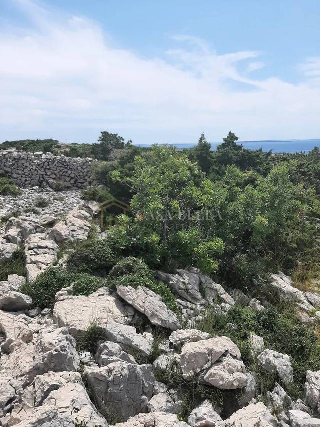 Grundstück u Novalji, 2742m², slika 4