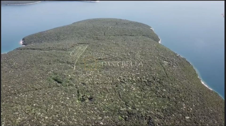 Zemljište u Marčani, 46000m², slika 2