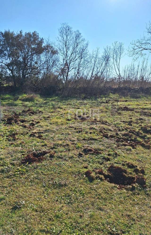Grundstück u Marčani, 650m², slika 2