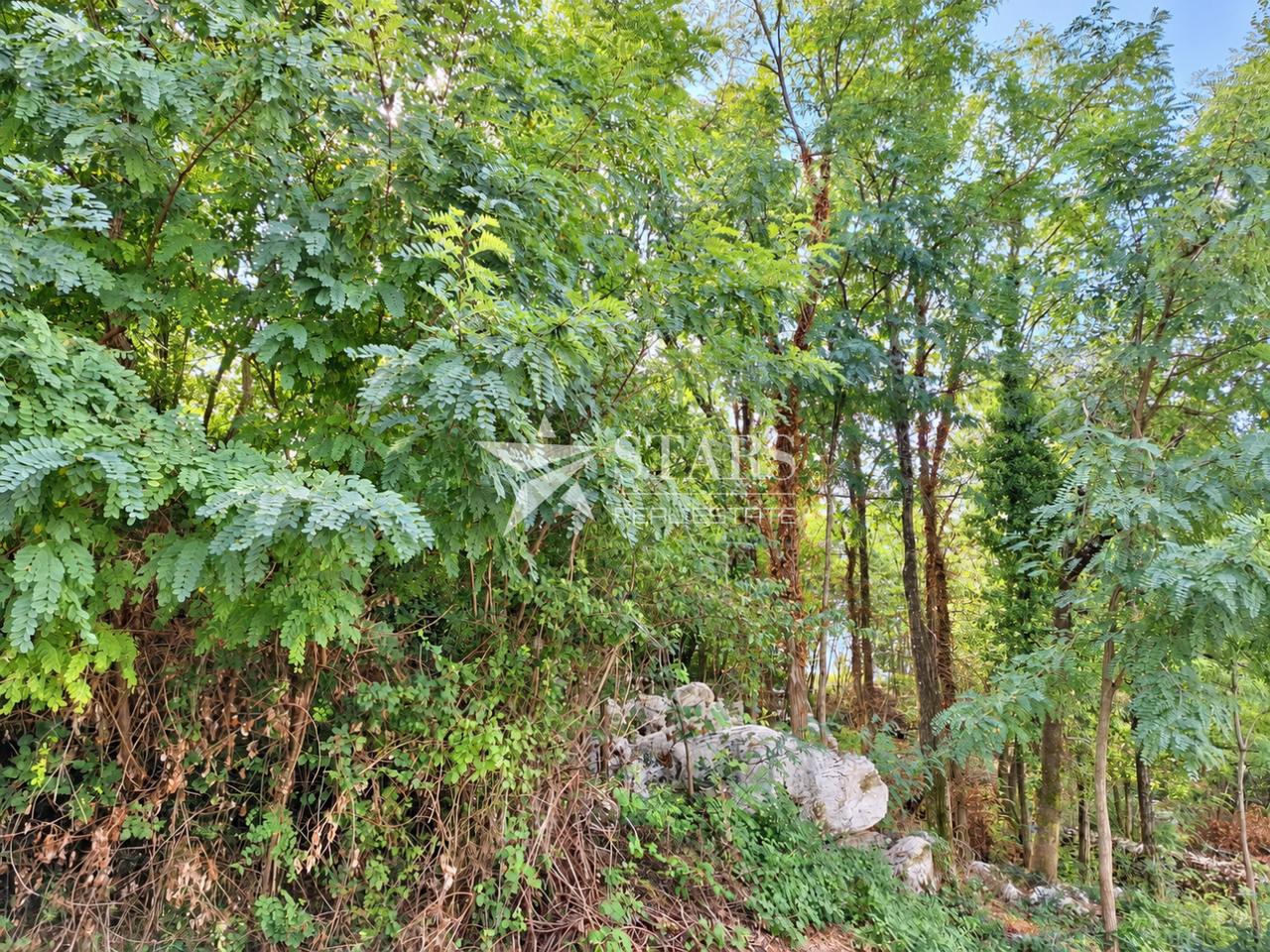 Terreno u Pićanu, 1364m², slika 4