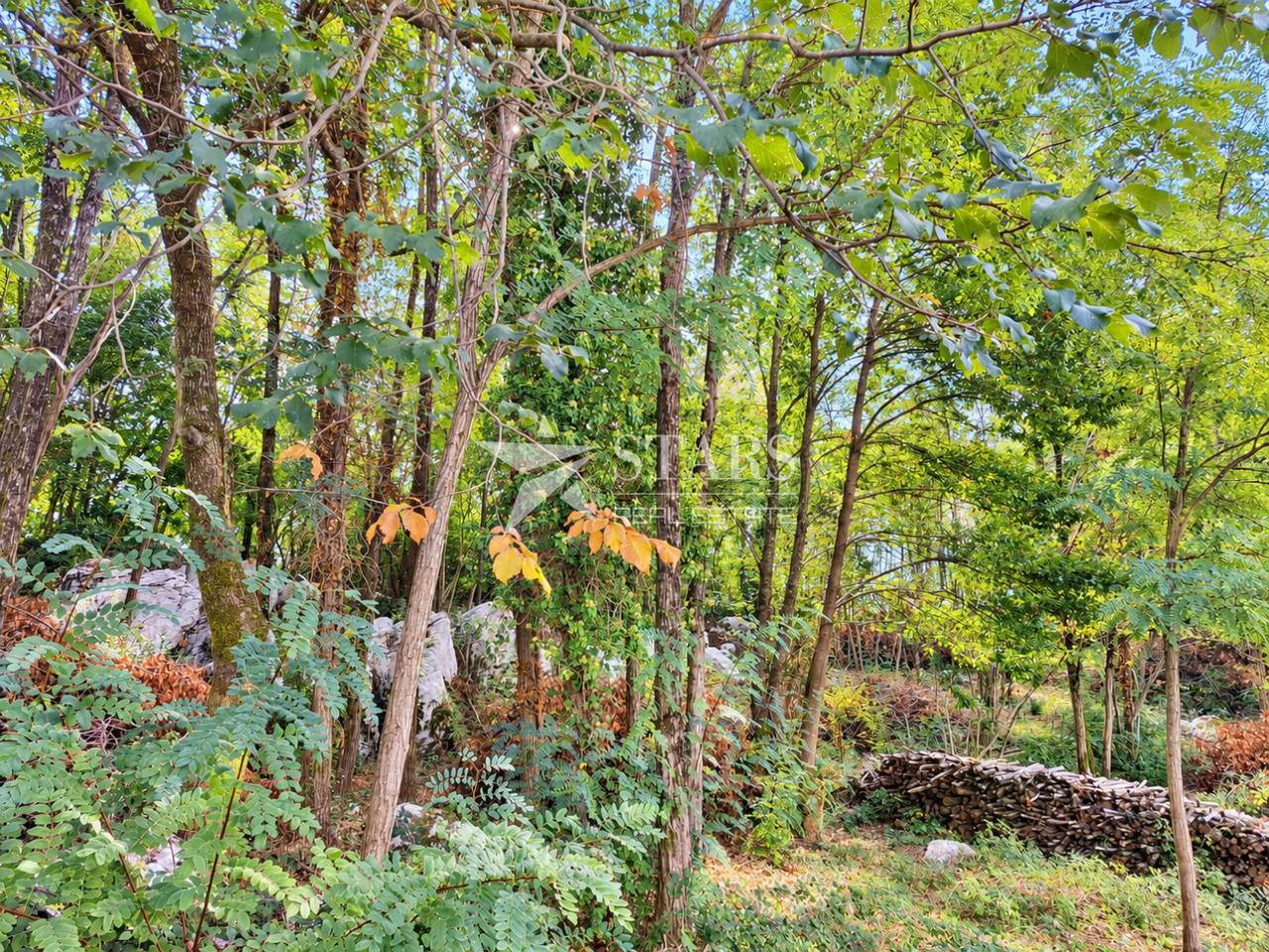 Terreno u Pićanu, 1364m², slika 5