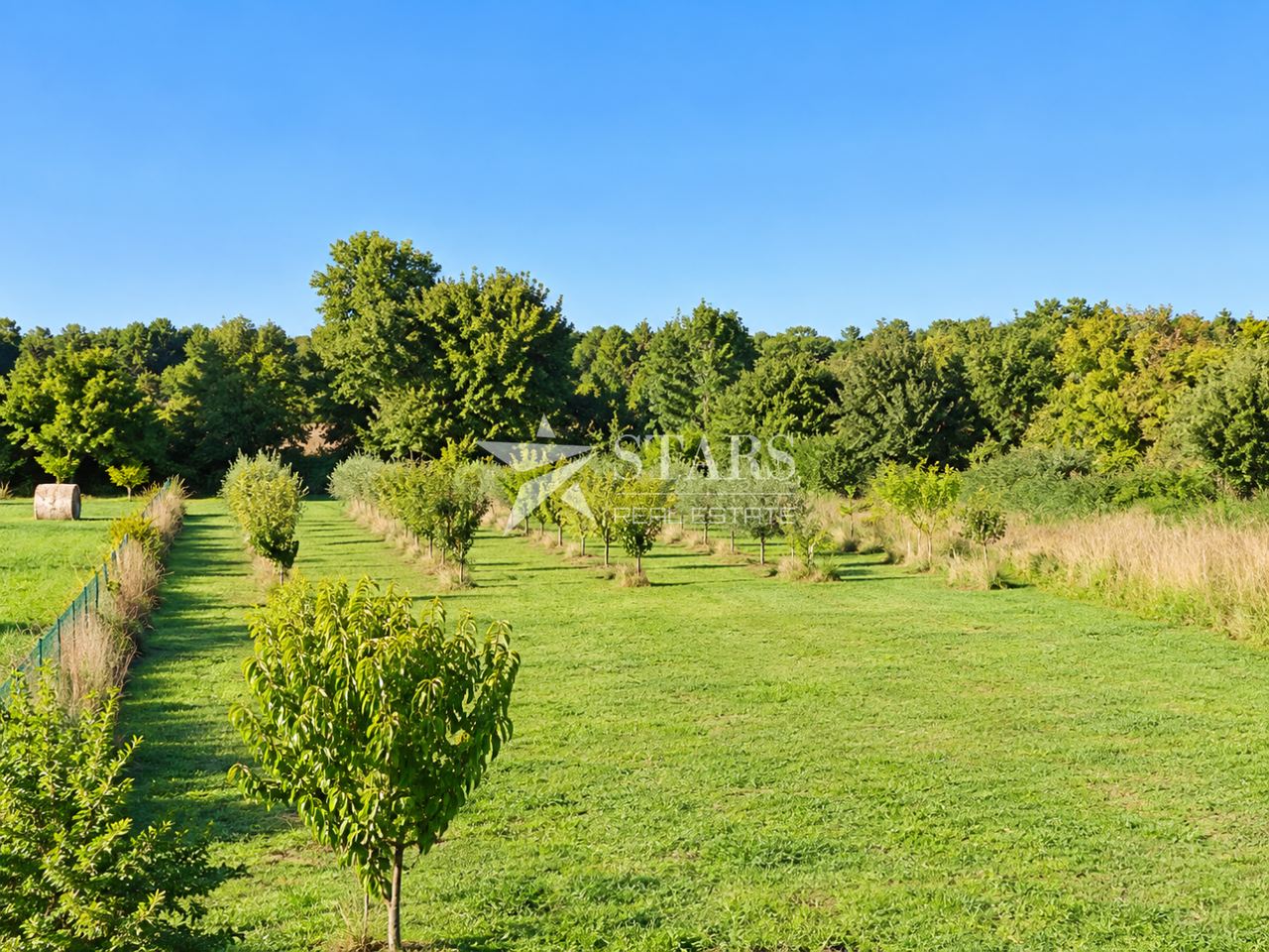 Terreno u Marčani, 3025m², slika 2